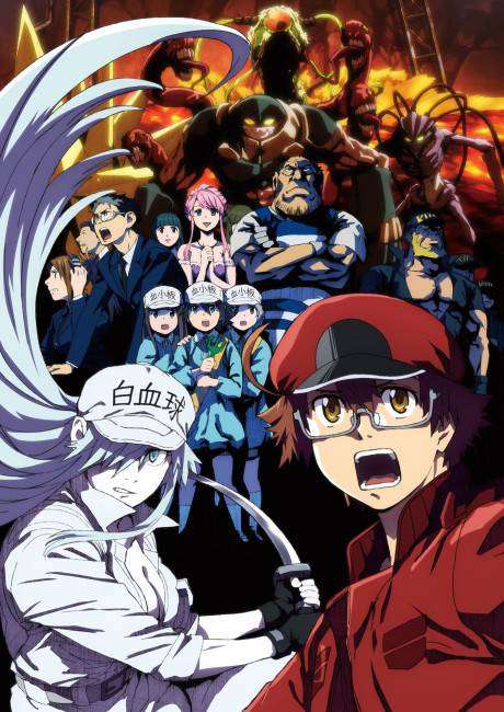 پوستر Hataraku Saibou Black (TV)
