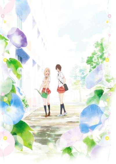 پوستر Kimi no Hikari: Asagao to Kase-san.