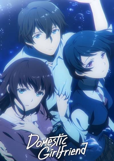 پوستر Domestic na Kanojo