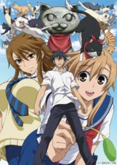 پوستر Nyan Koi!